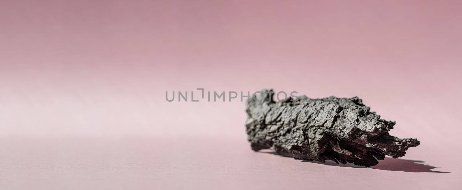 Pink background for cosmetic product presentation with shadows from sun. Backdrop with bark tree, display, mockup for product photography by photolime