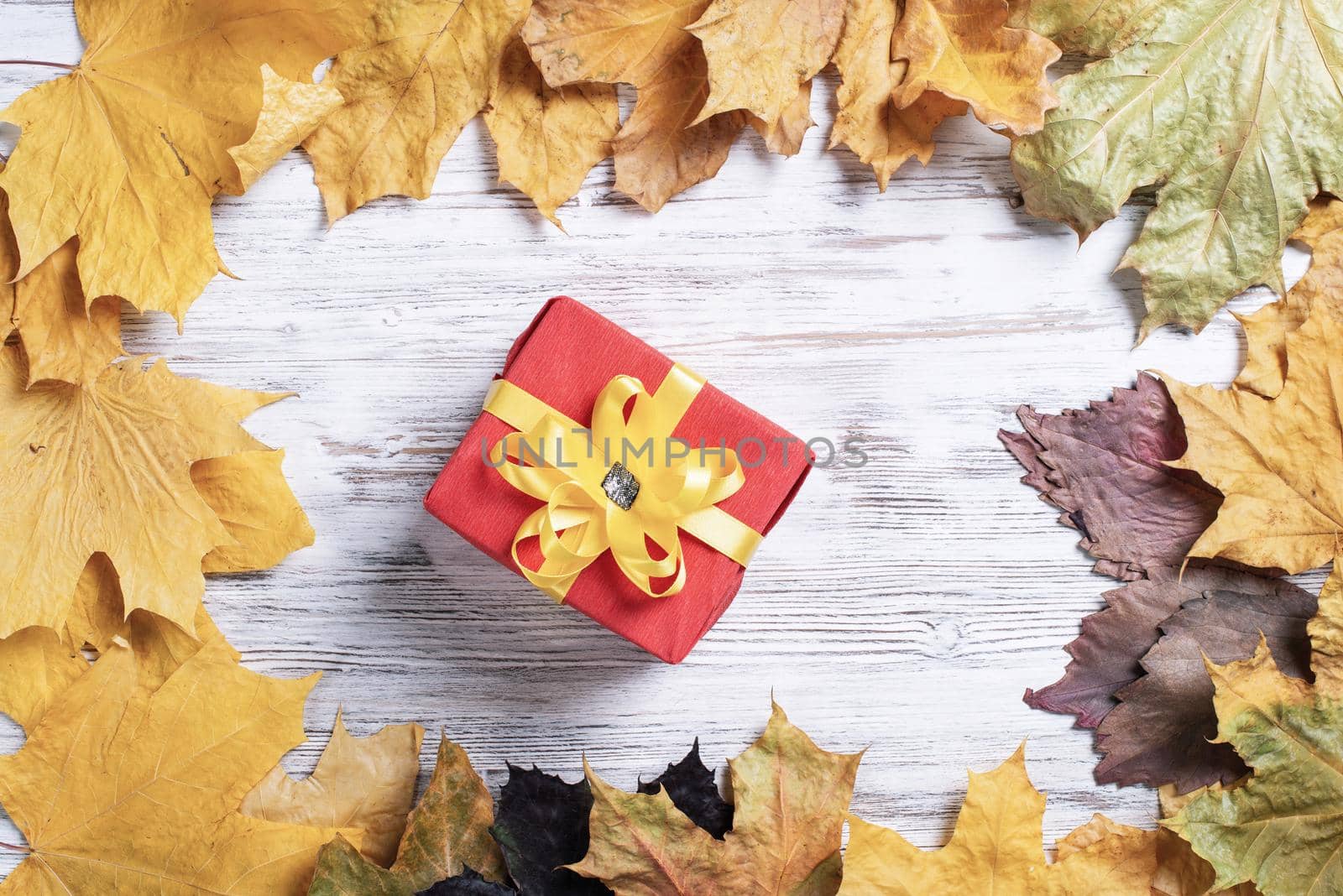 Bright autumn composition with gift box and yellow maple leaves. Holiday present decorated yellow ribbon bow lies on vintage wooden desk. Happy thanksgiving congratulation. Autumn sale advertising.