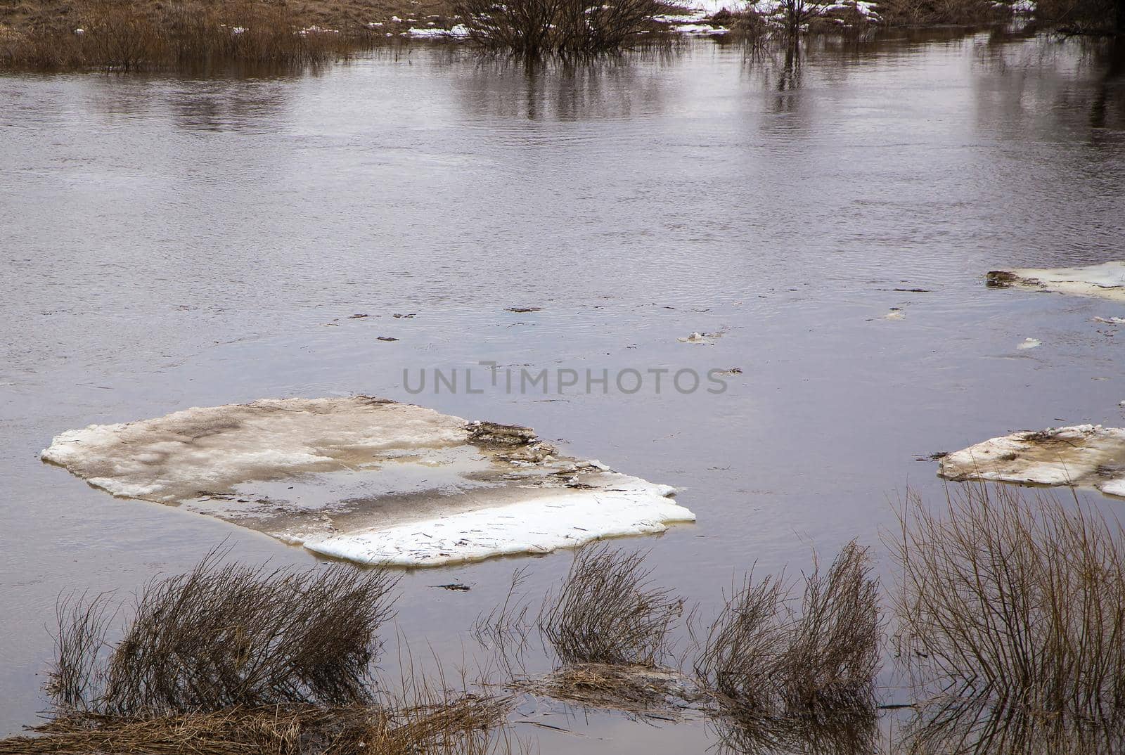 Close-up of dirty ice floes float on the river. Spring, snow melts, dry grass all around, floods begin and the river overflows. Day, cloudy weather, soft warm light.