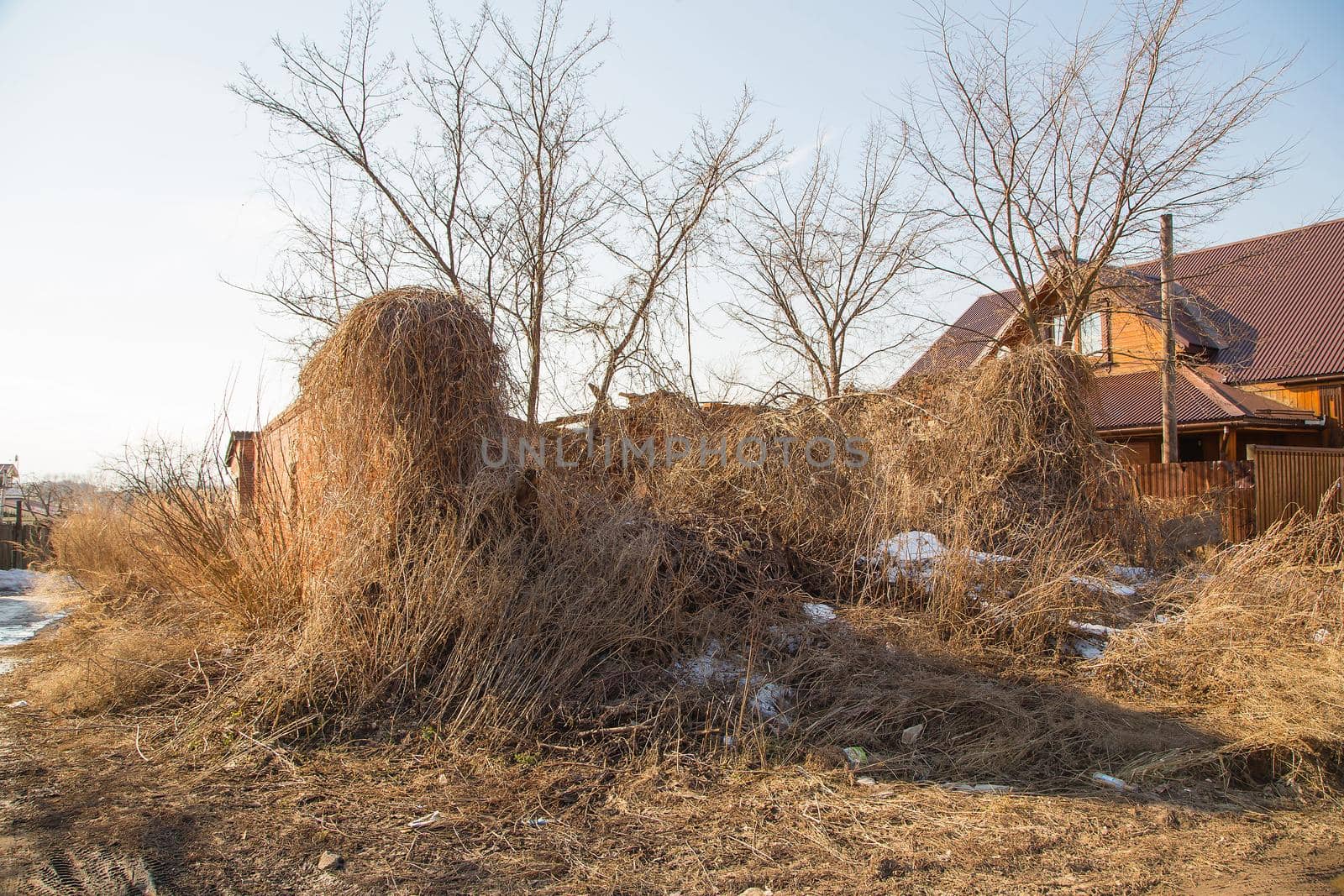 Huge and tall dry grass enveloped the old ruined brick wall of the house. Spring, the snow is melting, there are puddles of slush and mud all around. Day, cloudy weather, soft warm light.