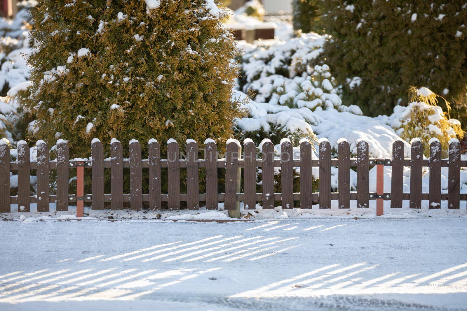 View of estate square with coniferous trees and shrubs fenced with wooden separate fence. Winter aura on the city gardens.