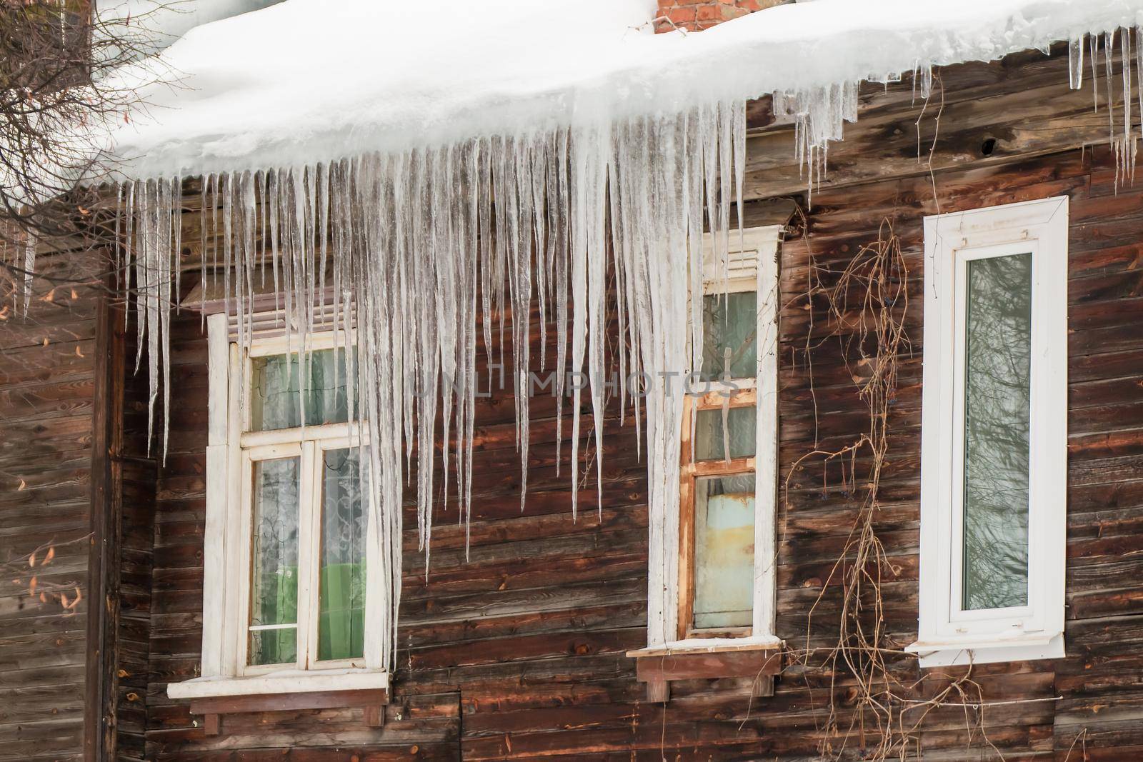 Multiple transparent icicles hang from the edge of the roof. Against the background of the wooden wall of the old house. Large cascades, even beautiful rows. Cloudy winter day, soft light.