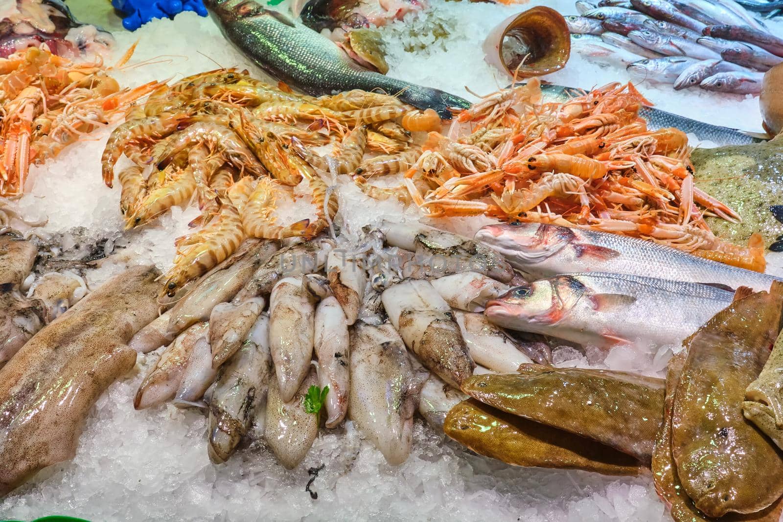 Fish, crustaceans and other seafood for sale at the Boqueria in Barcelona