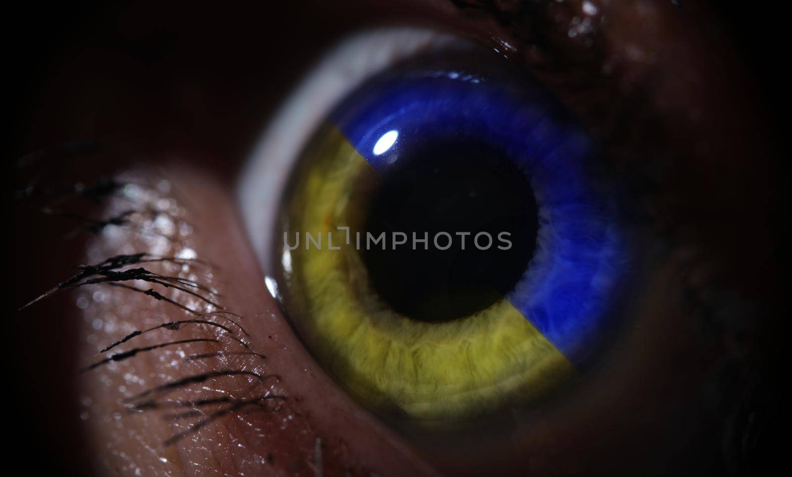 Female eye in blue and yellow iris color of Ukraine flag closeup. Assistance to Ukrainian refugees concept