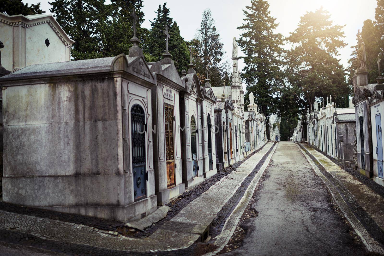 May they rest in peace. Shot of a row of graves situated next to each other inside of a graveyard outside during the day. by YuriArcurs