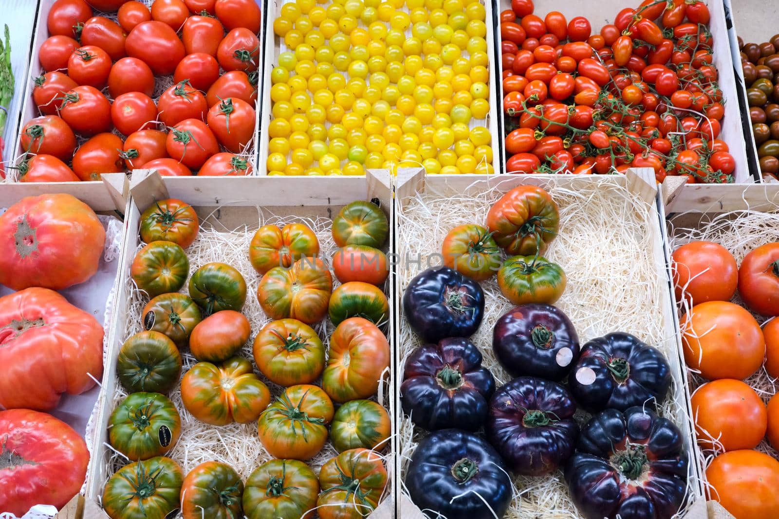 Tomatoes in different colors and shapes by elxeneize