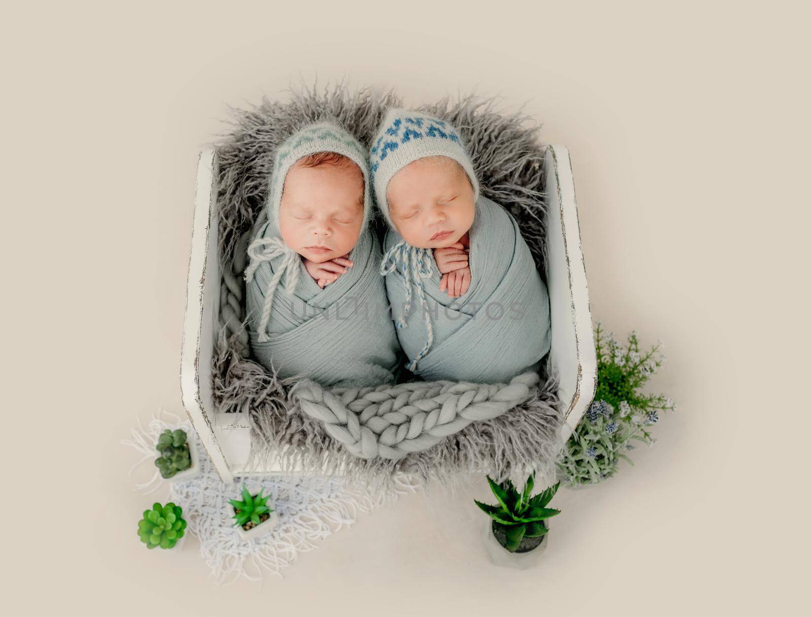 Twins newborn babies sleeping in tiny wooden bed studio portrait. Siblings brothers infant children napping together