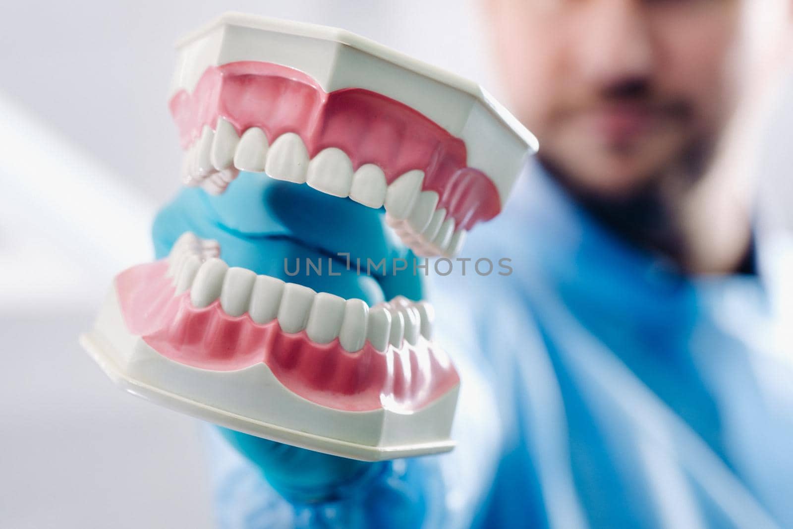 A model of a human jaw with teeth and a toothbrush in the dentist's hand.