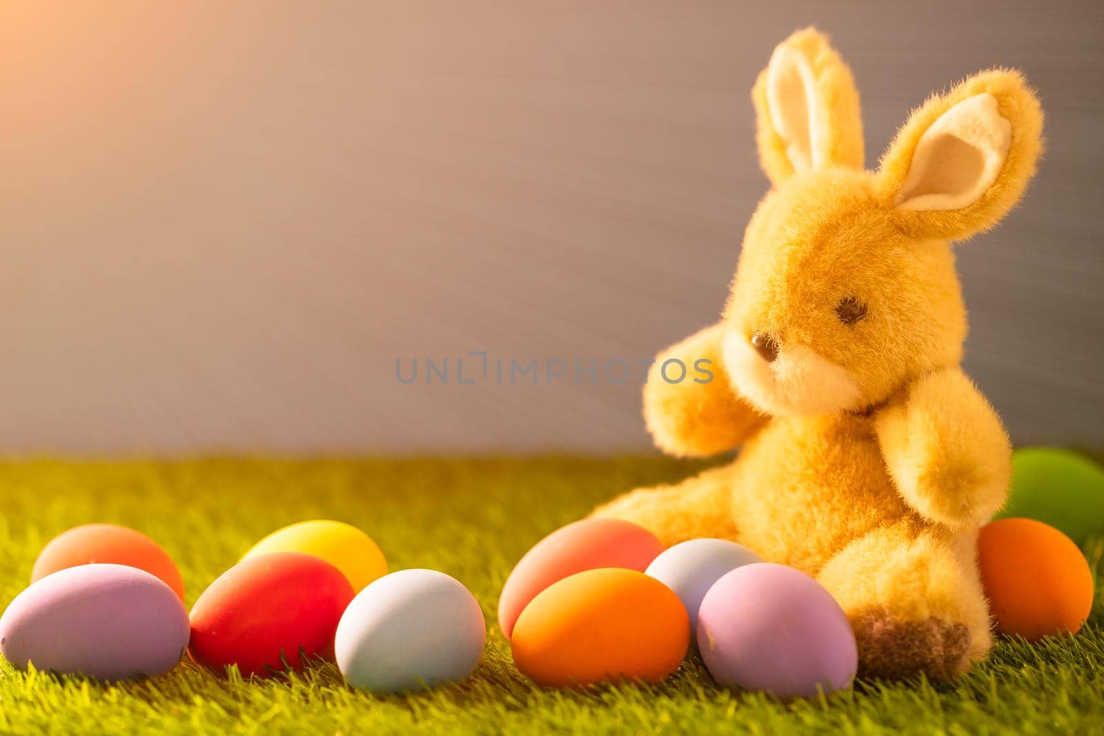 Colorful easter eggs and rabbit toy on green grass