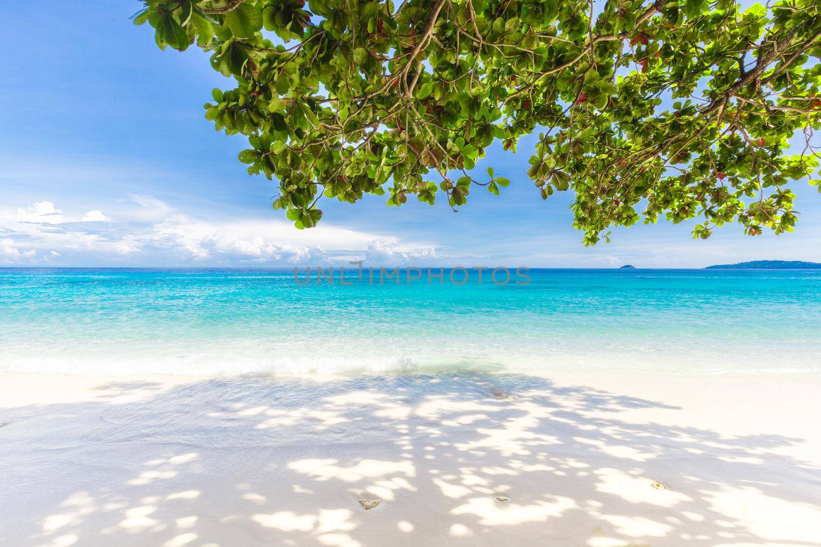 Beautiful beach and blue sky in Similan islands, Thailand. Vacation holidays background wallpaper.