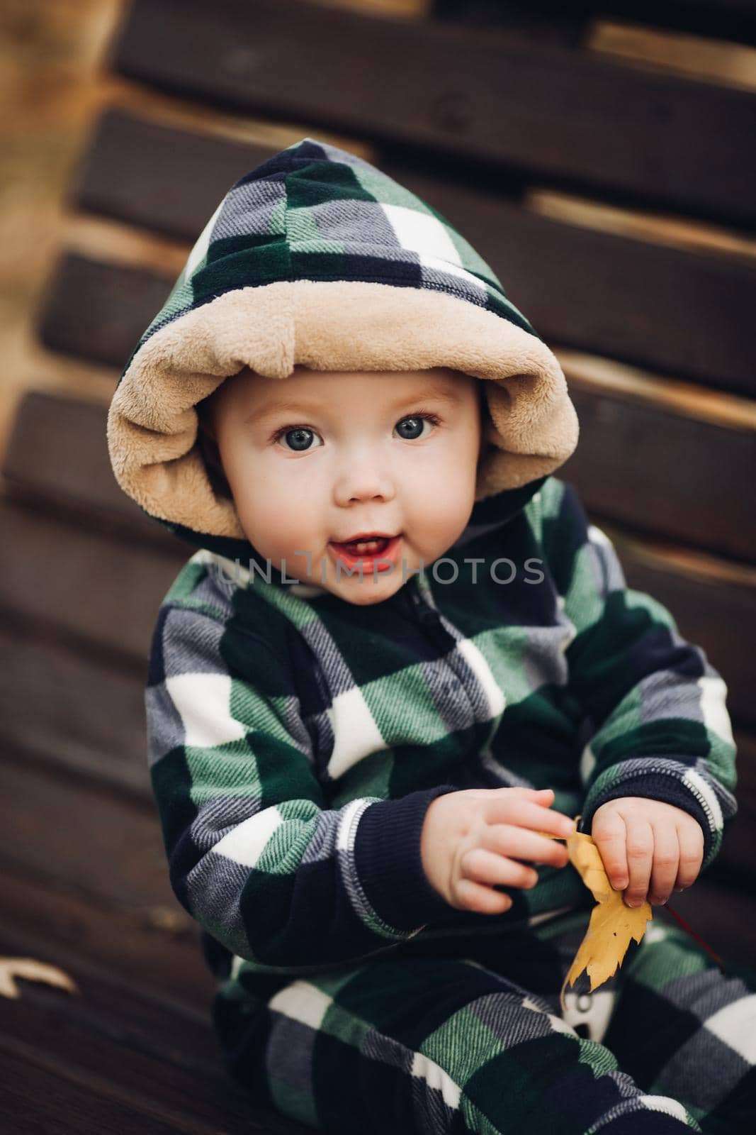 Portrait of cute baby in checked green, blue and black overall with hood sitting on the ground covered with bright dry foliage on autumn day. Fair haired baby in overall on vivid colorful leaves in the autumnal park or forest.