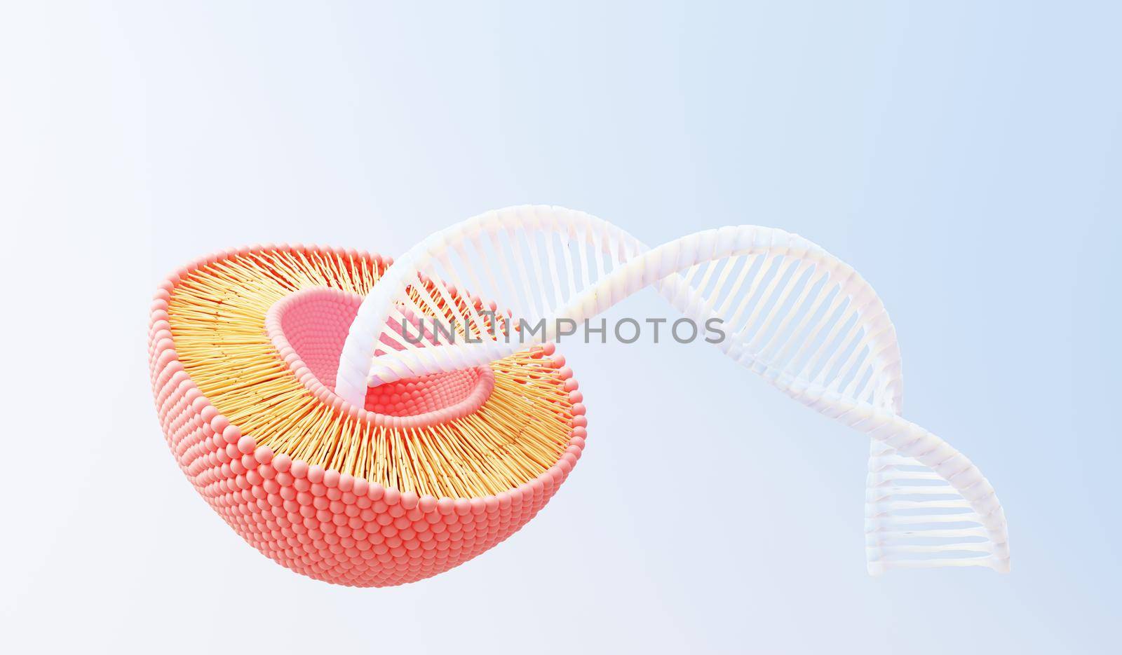 3d render cell membrane Phospholipid Bilayer. Layers of molecules. Gene expression. nucleotide database. Fluid mosaic model for education. Human gene. Plasma membrane structures.