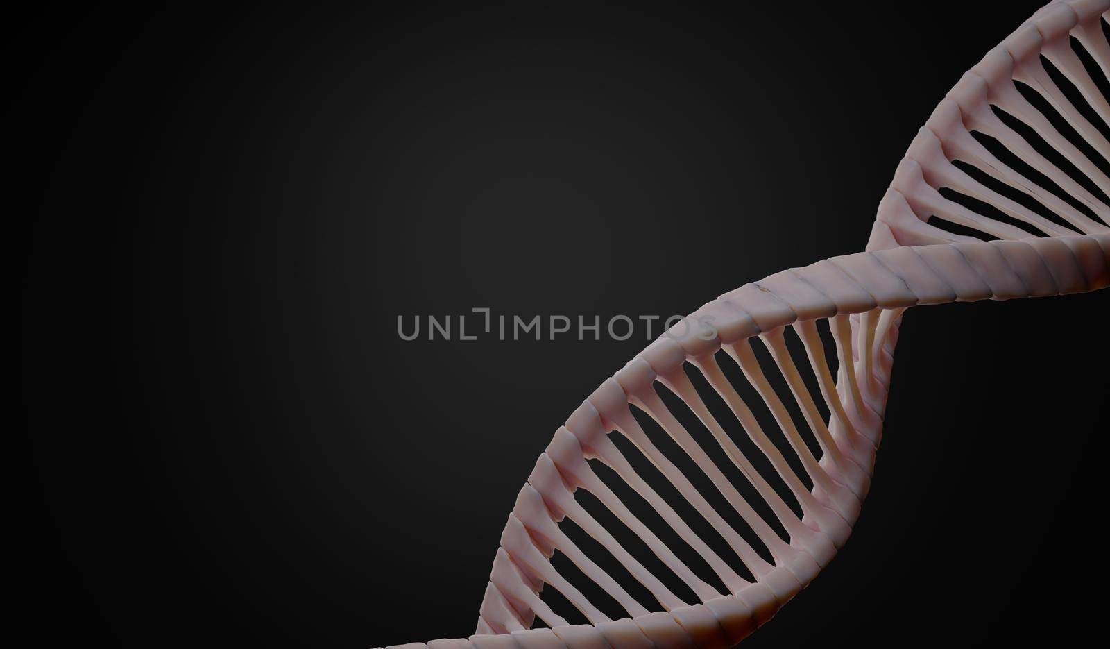 3d render Helix complementary strand of DNA of RNA. Sequences genetic code or genome. Gene expression. nucleotide database. The Central Dogma process of transcription and translation. Human gene.