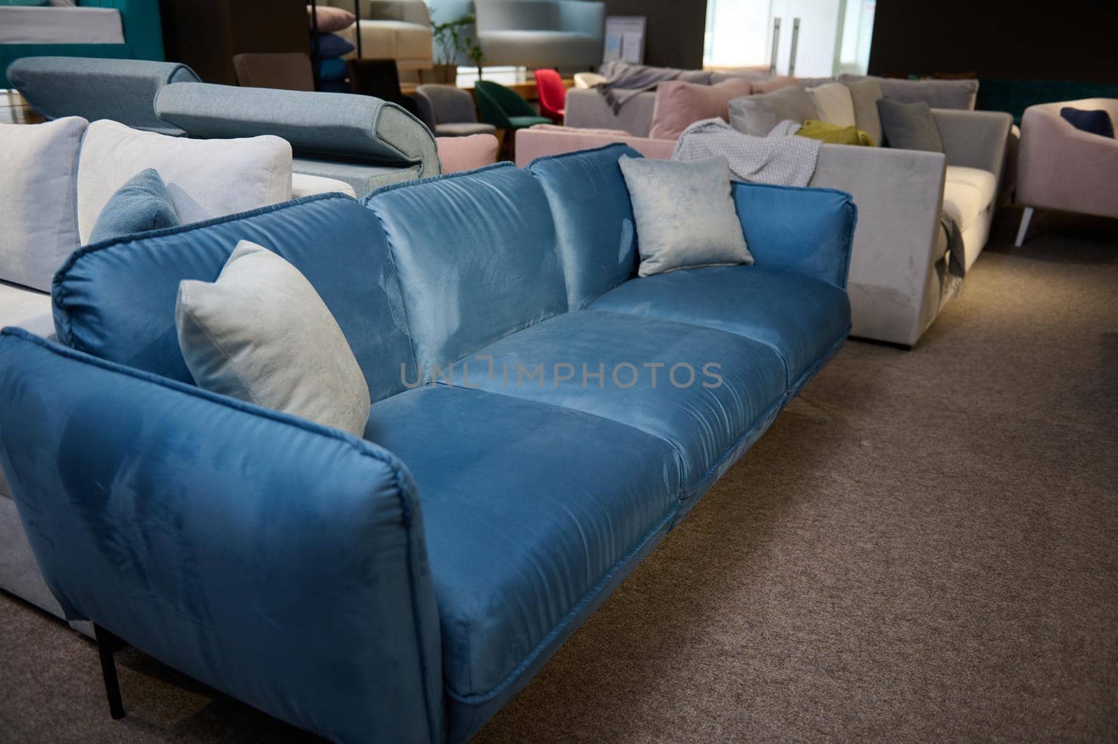 Beautiful minimalist stylish blue velour settee with light gray cushions, displayed on sale in the furniture store showroom. Exhibition of soft furnishing in the furniture store showroom
