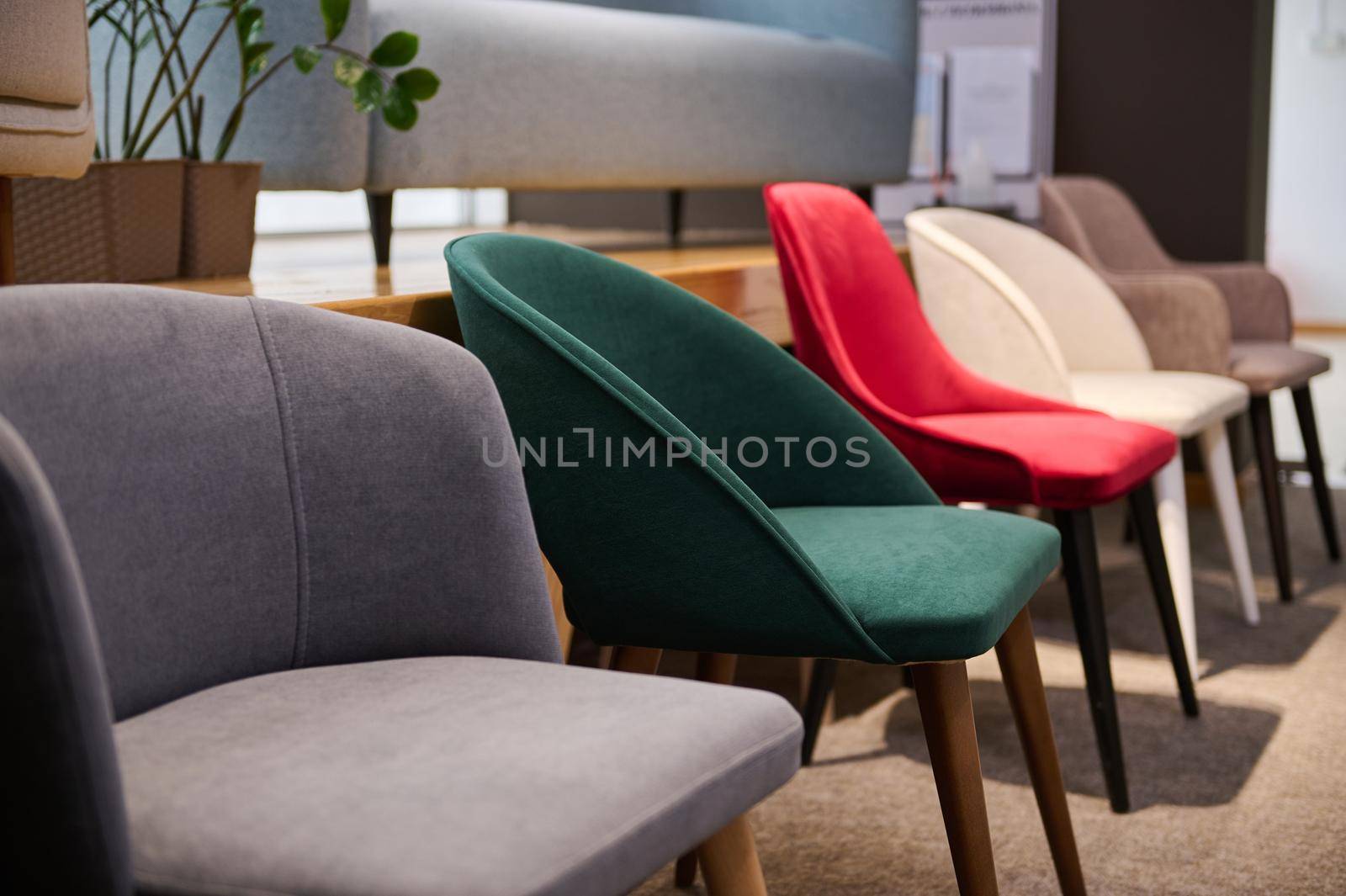 Chairs in salon of furniture. Showroom, exhibition hall of modern soft furniture, upholstered furnitures