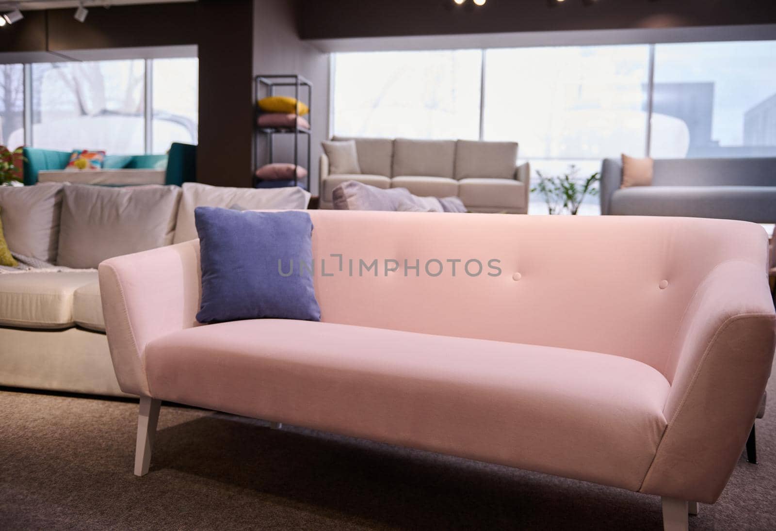Furniture store with sofas and couches on display for sale, copy space. Furniture store showroom interior. Stylish pink sofa with purple cushion in the showroom of upholstered furniture.