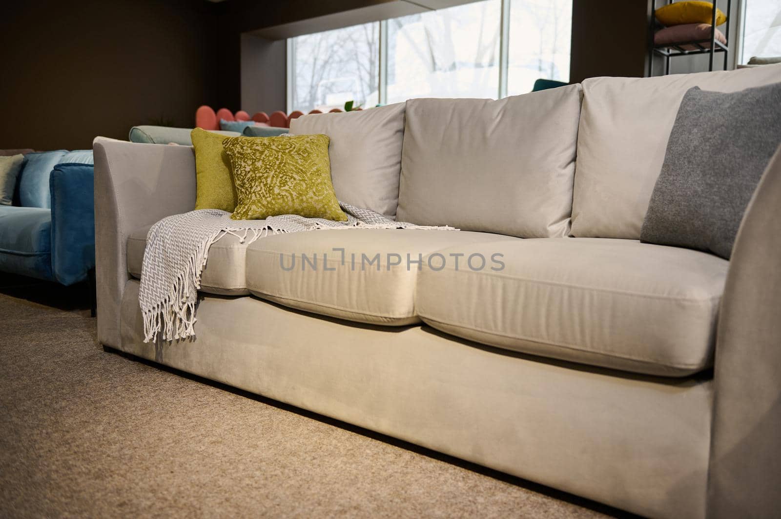 Comfortable upholstered velour beige couch with colored gray and green olive cushions displayed for sale in the furniture store showroom. Exhibition of upholstered furniture.