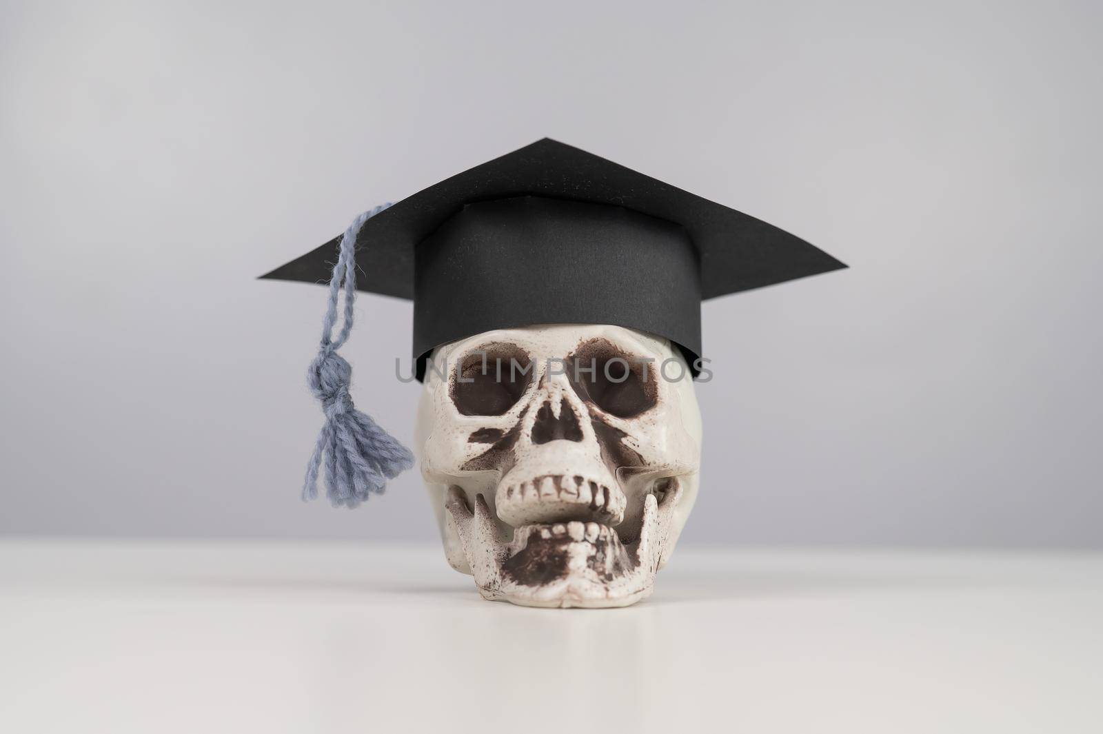 Toy plastic skull with academic cap and glasses