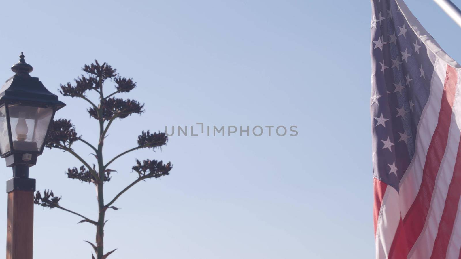 Agave cactus flower, wild west lantern and american flag, western California USA by DogoraSun