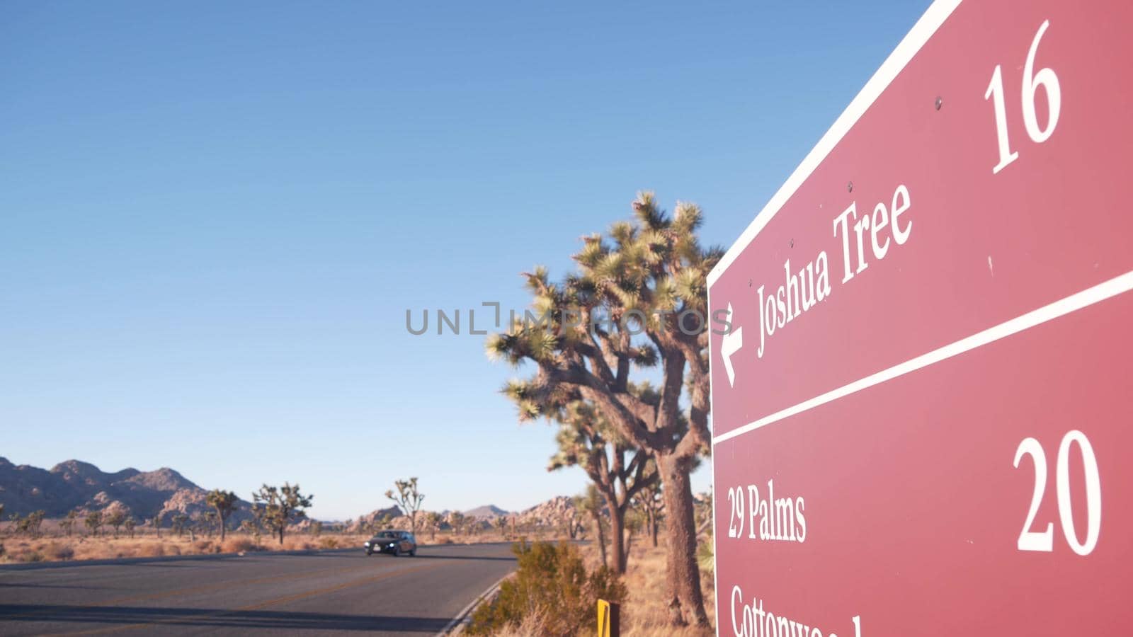Crossroad sign, road intersection, California USA. Joshua Tree desert wilderness by DogoraSun