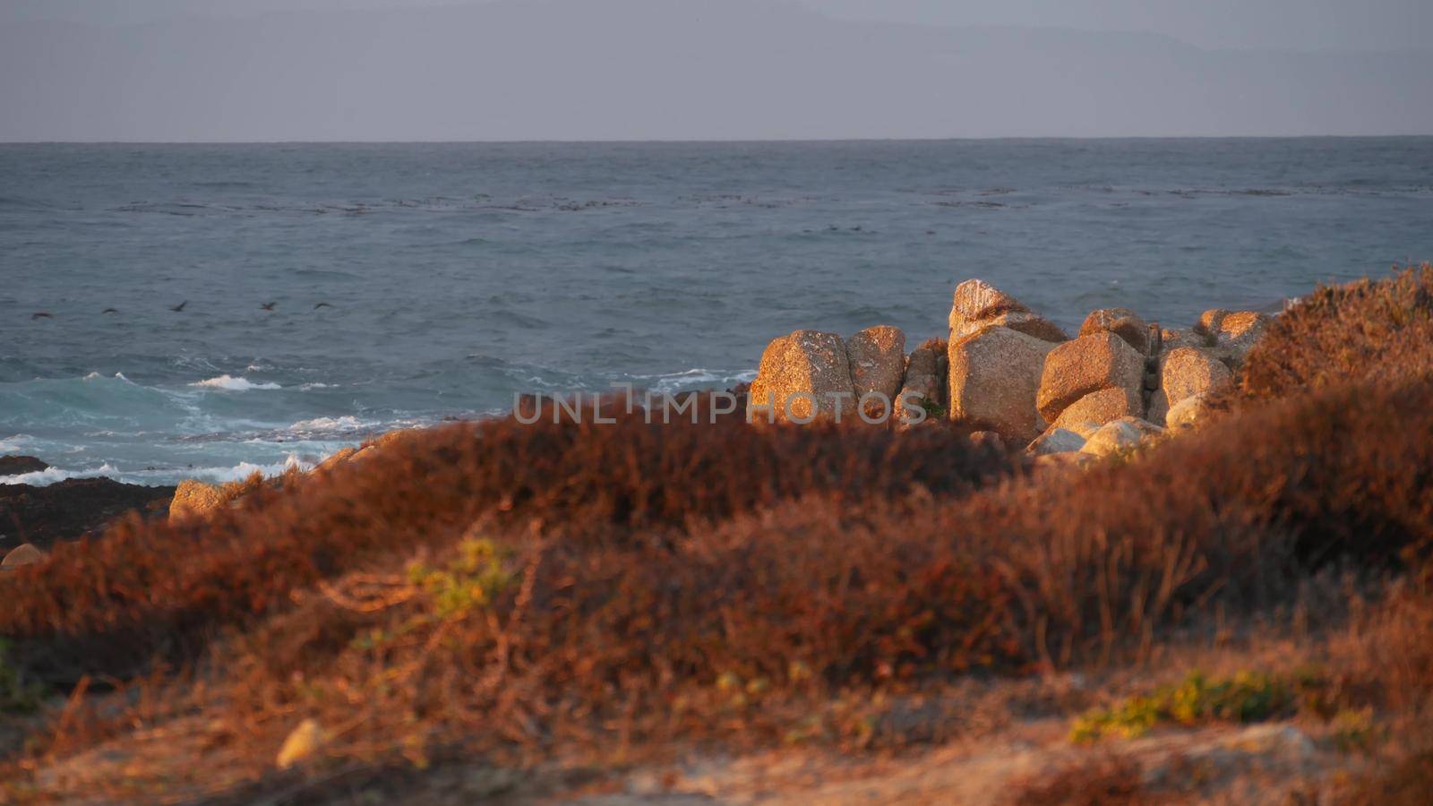 Rocky craggy pacific ocean coast, sea water waves crashing on rocks, 17-mile drive, Monterey California USA. Dramatic sunset nature near Point Lobos, Big Sur, Pebble beach. Birds flying, rainy weather