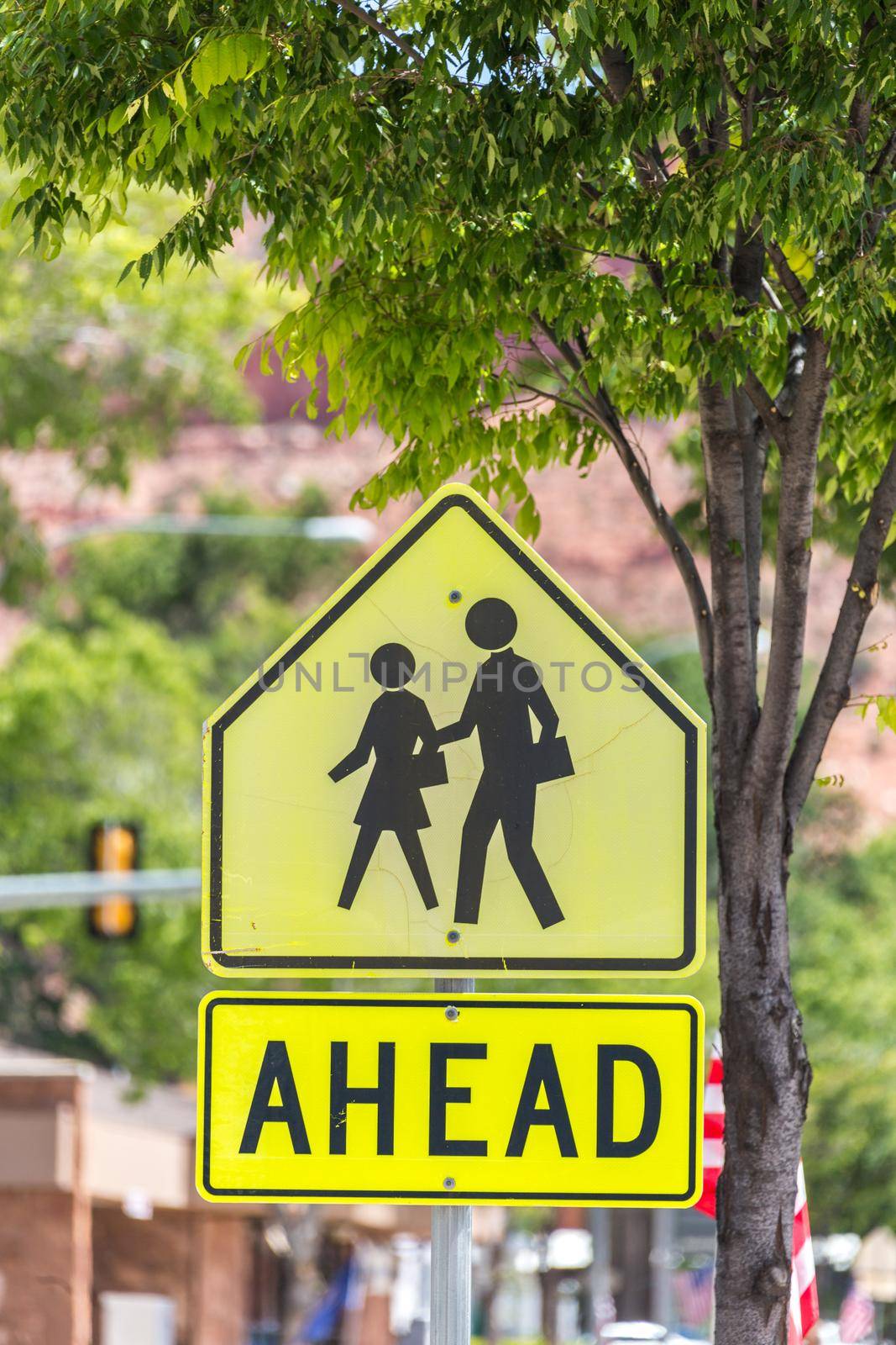 Crosswalk Sign Against green trees in small town