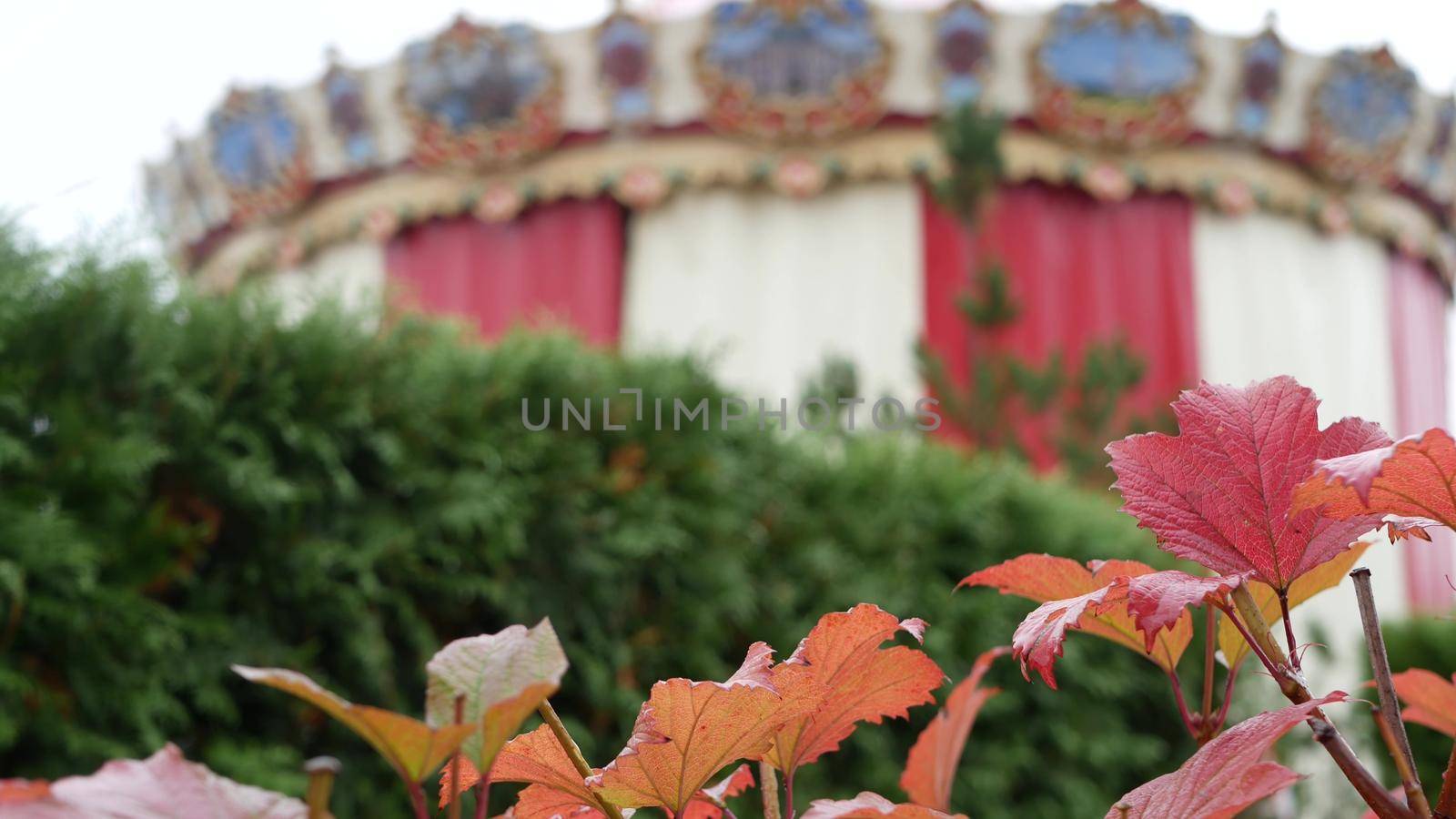 Vintage carousel in autumn park, retro circus or merry go round carrousel tent. Fall leaves and fairground or funfair in october, september or november city garden. Amusement attraction in Europe.