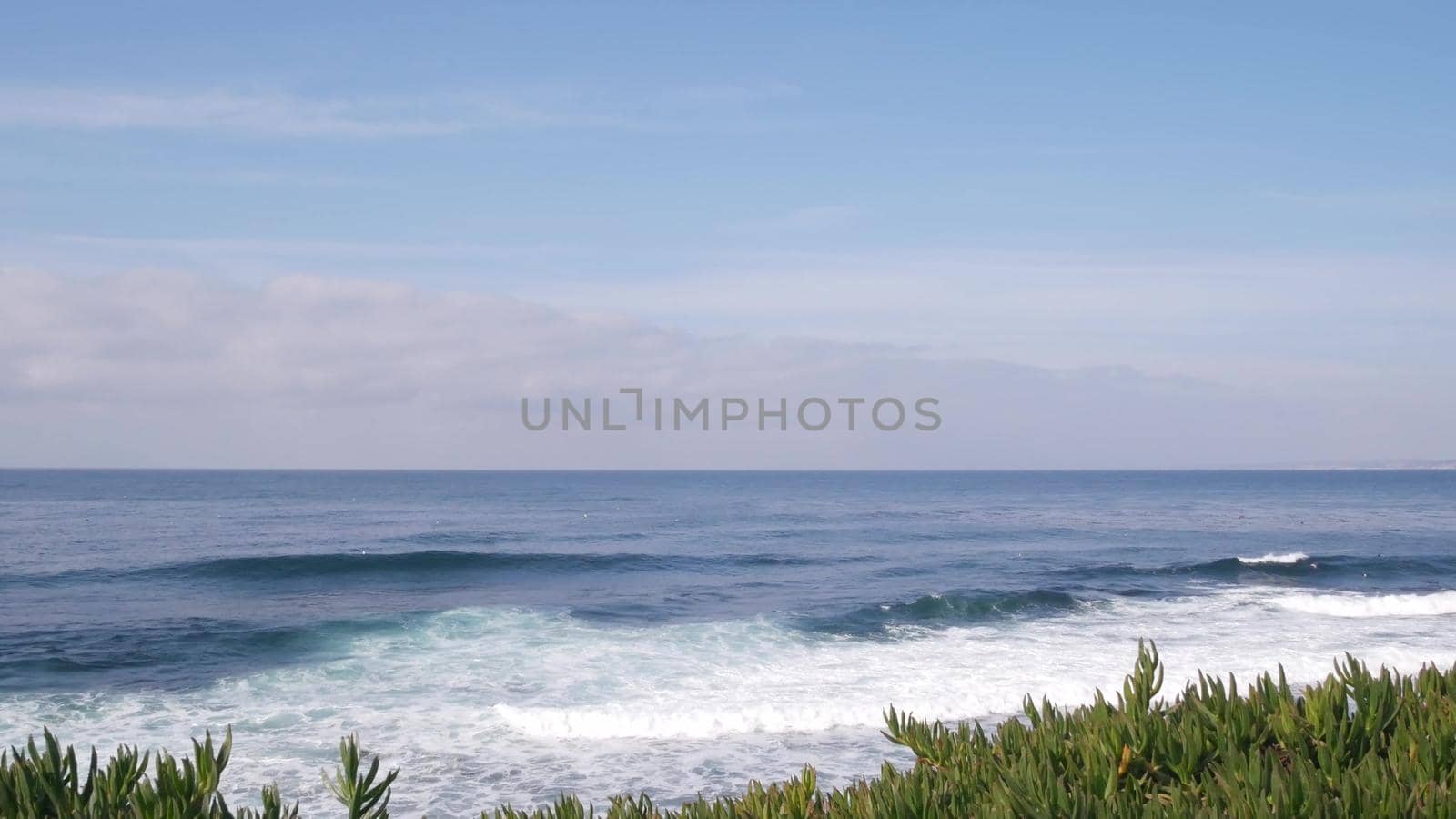 Ocean waves crashing on beach, sea water surface, California. Succulent plants. by DogoraSun