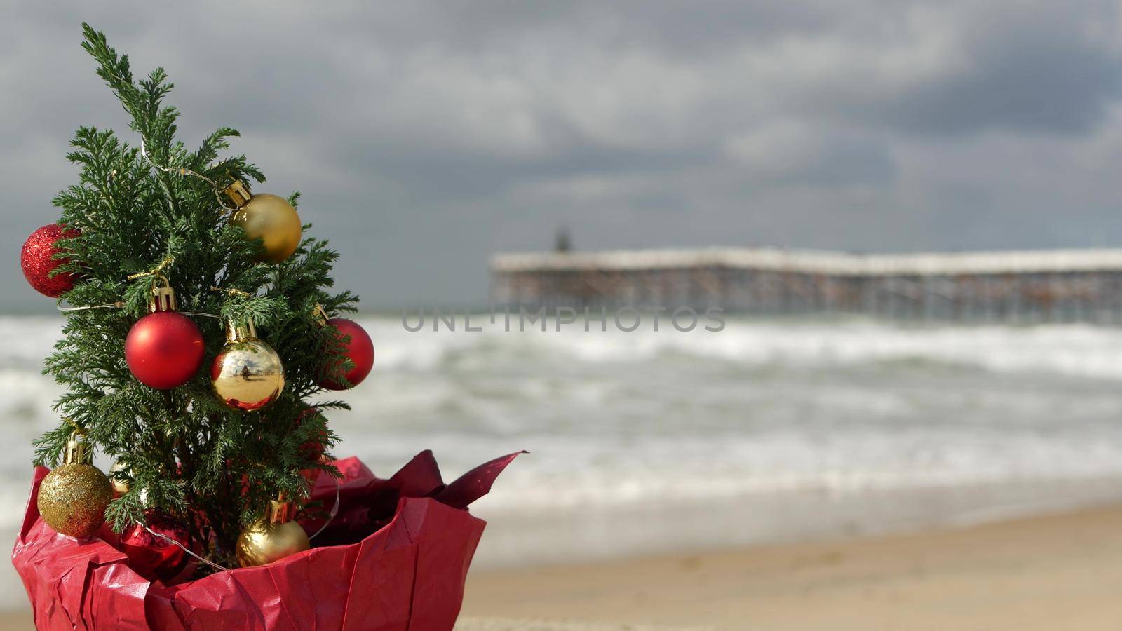 Christmas tree on sandy sea beach, New Year on ocean coast, Xmas in California. Decor from pine or fir tree, winter holidays in USA. Festive decoration, waves and seascape. Seamless looped cinemagraph
