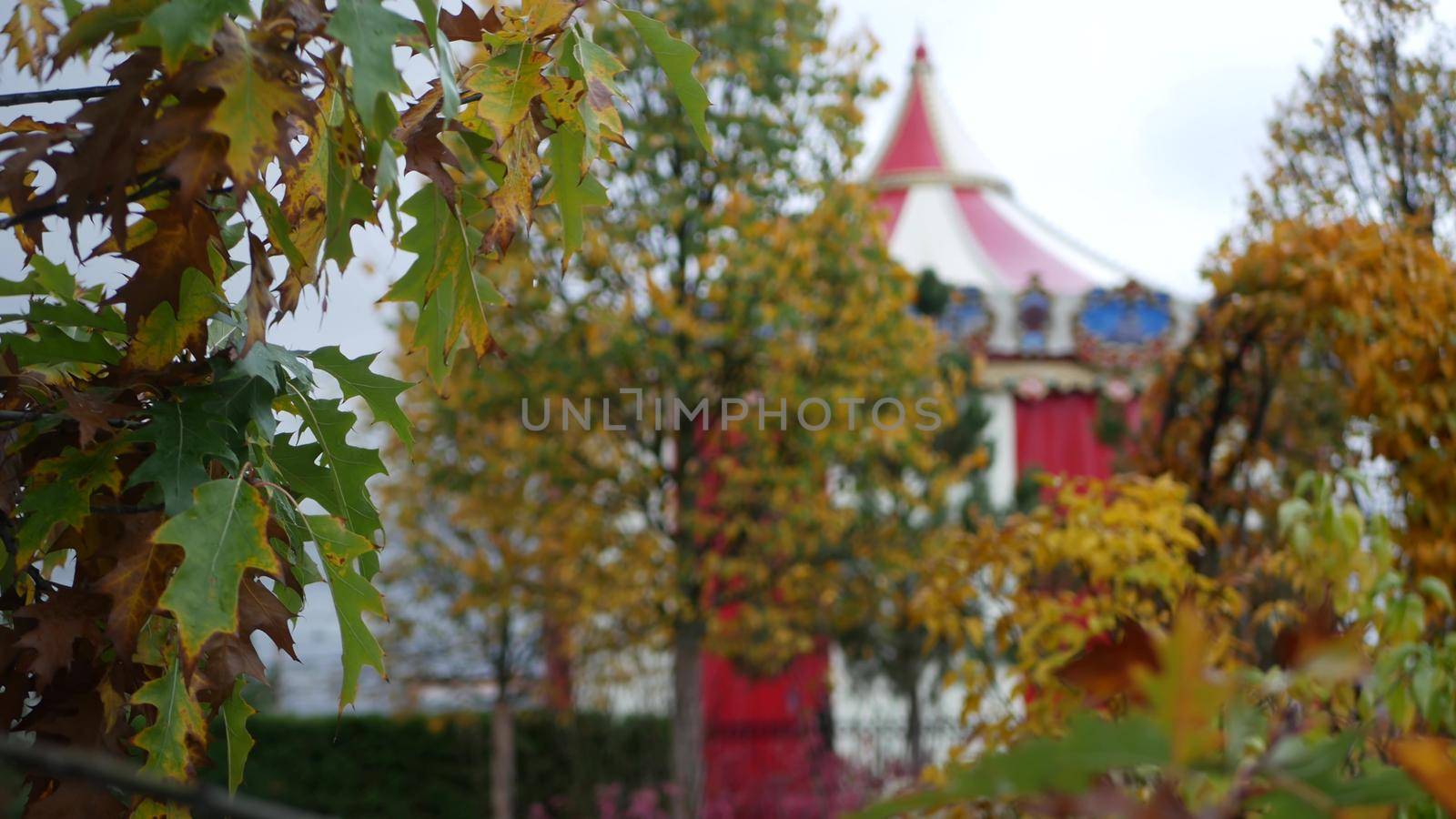 Vintage carousel in autumn park, retro circus or merry go round carrousel tent. by DogoraSun