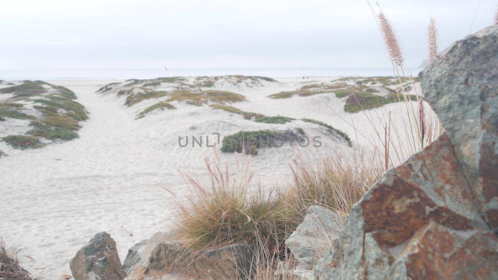 Sand dunes of misty Coronado beach, ocean waves in fog, California coast, USA. by DogoraSun