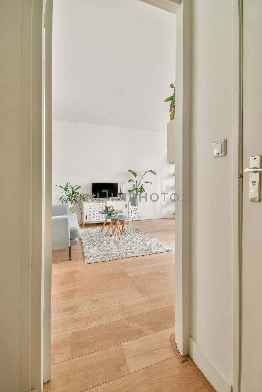 Entrance to the spacious living room from the corridor of a modern house