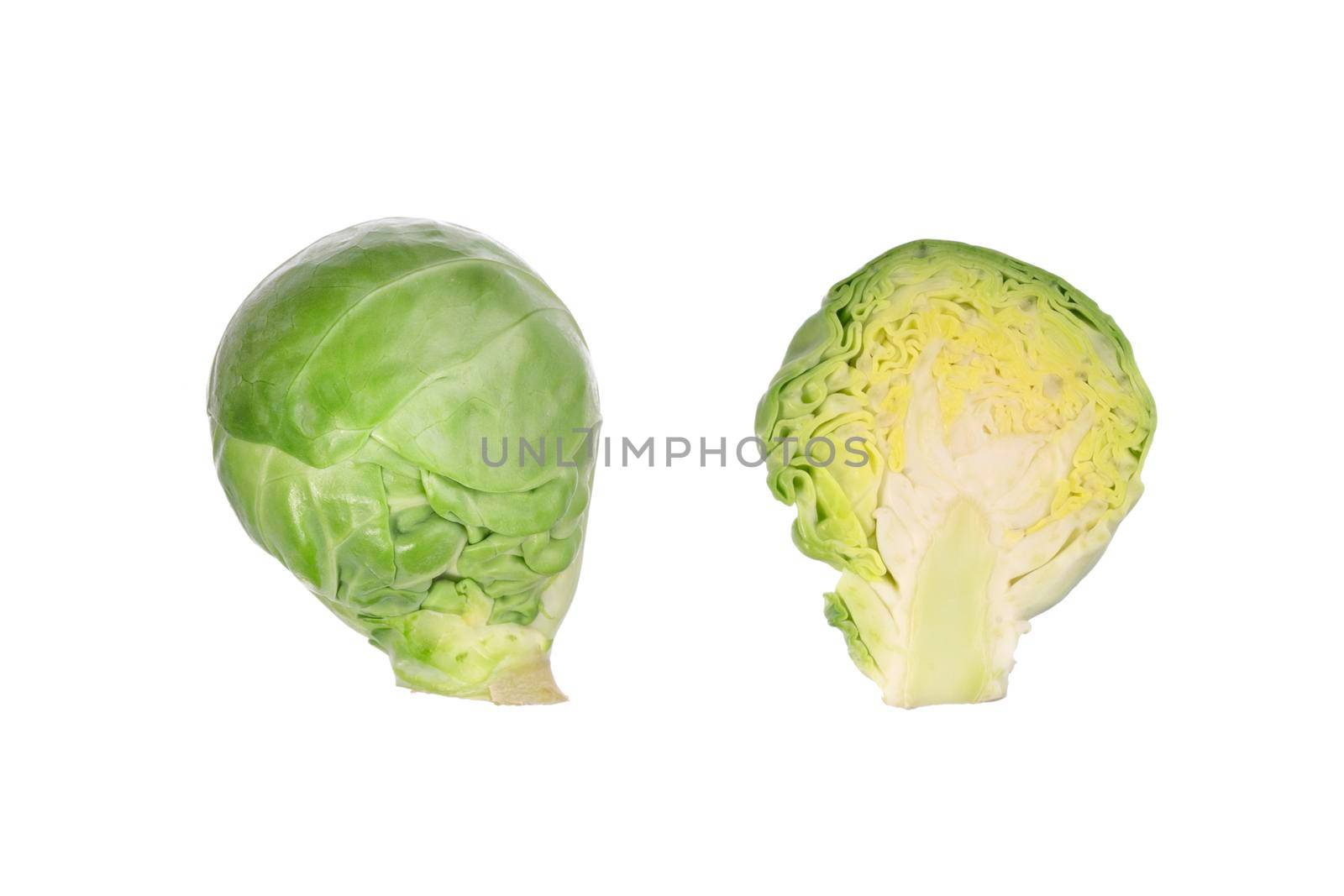 Studio shot of brussel sprout isolated. Brassica oleracea. Group of small green brussel cabbage sprouts. Organic raw vegan healthy food vegetable. Farm market product. Top view, macro, above.