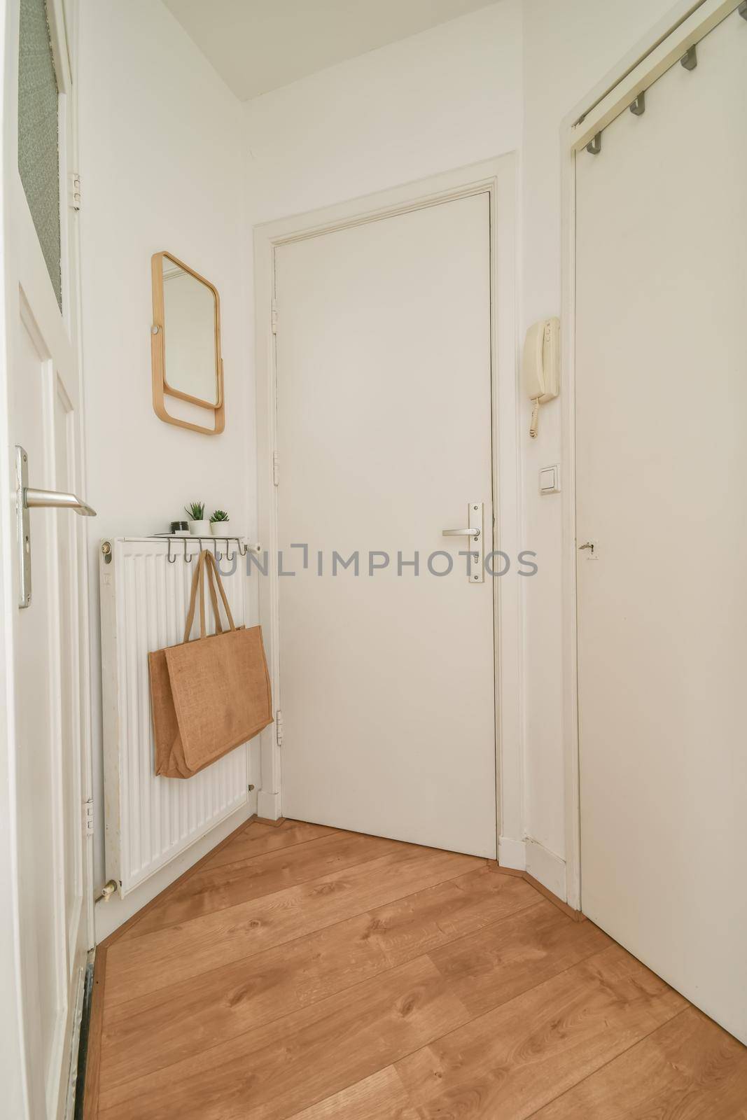 The entrance to the spacious apartment is through the corridor of a modern house
