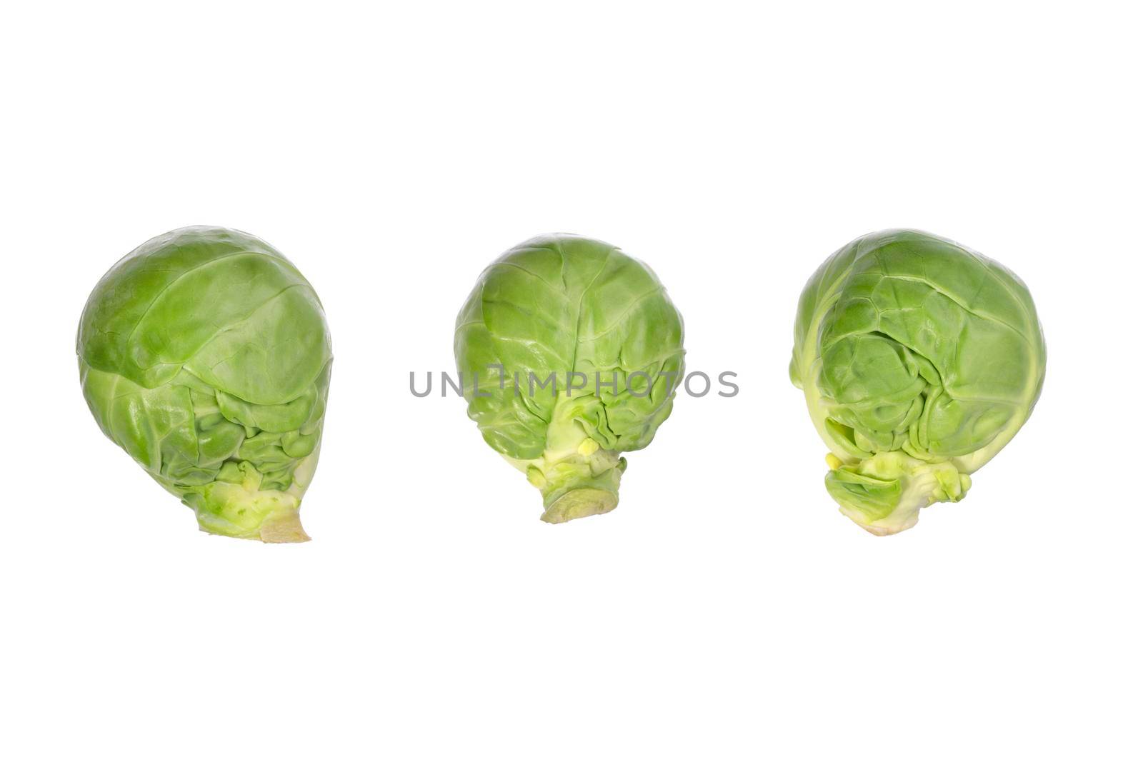 Group of small green brussel cabbage sprouts. Studio shot of brussel sprout isolated. Brassica oleracea. Organic raw vegan healthy food vegetable. Top view, macro, above.