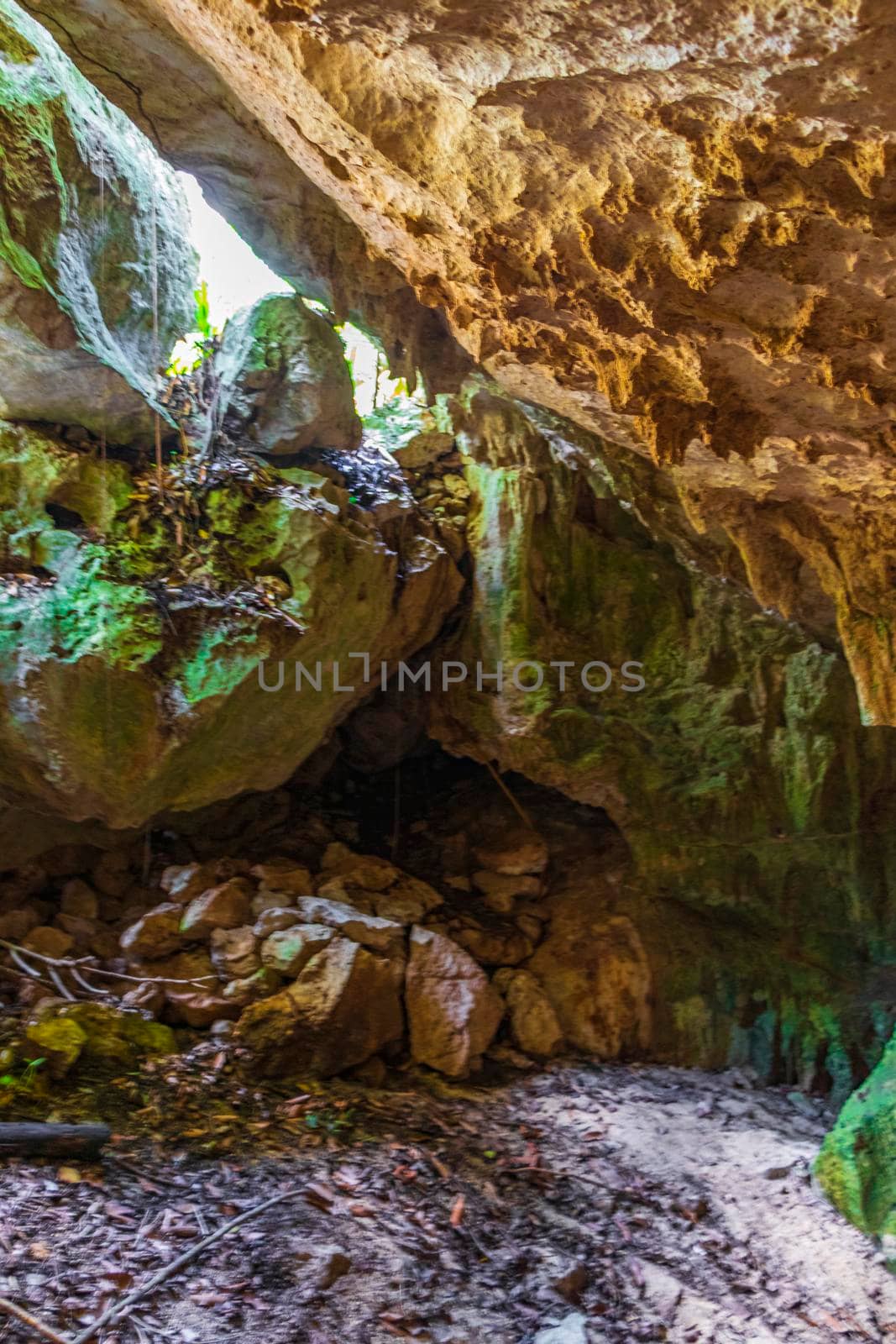 Amazing blue turquoise water and limestone cave sinkhole cenote Mexico. by Arkadij