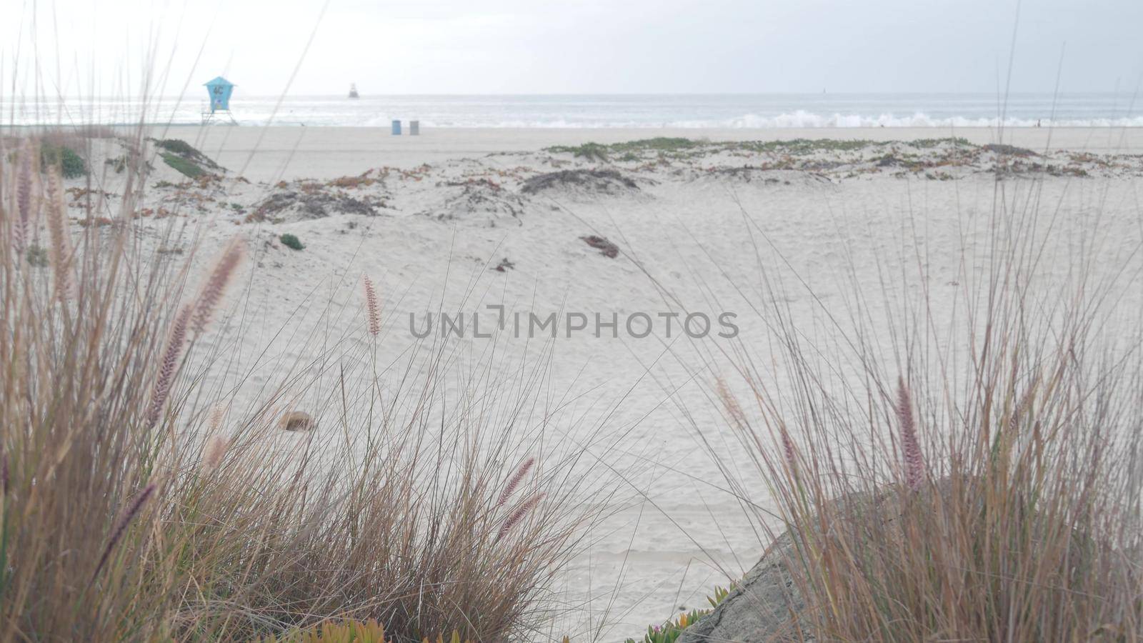 Sand dunes of misty Coronado beach, ocean waves in fog, California coast, USA. Cloudy overcast weather in San Diego. Succulent plant on sea shore in brume, lifeguard tower in haze. Life guard stand.