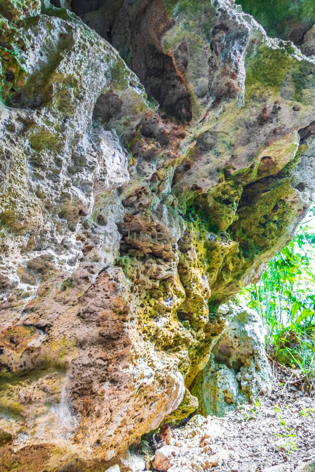 Amazing blue turquoise water and limestone cave sinkhole cenote at Santuario de los guerreros in Puerto Aventuras Quintana Roo Mexico.