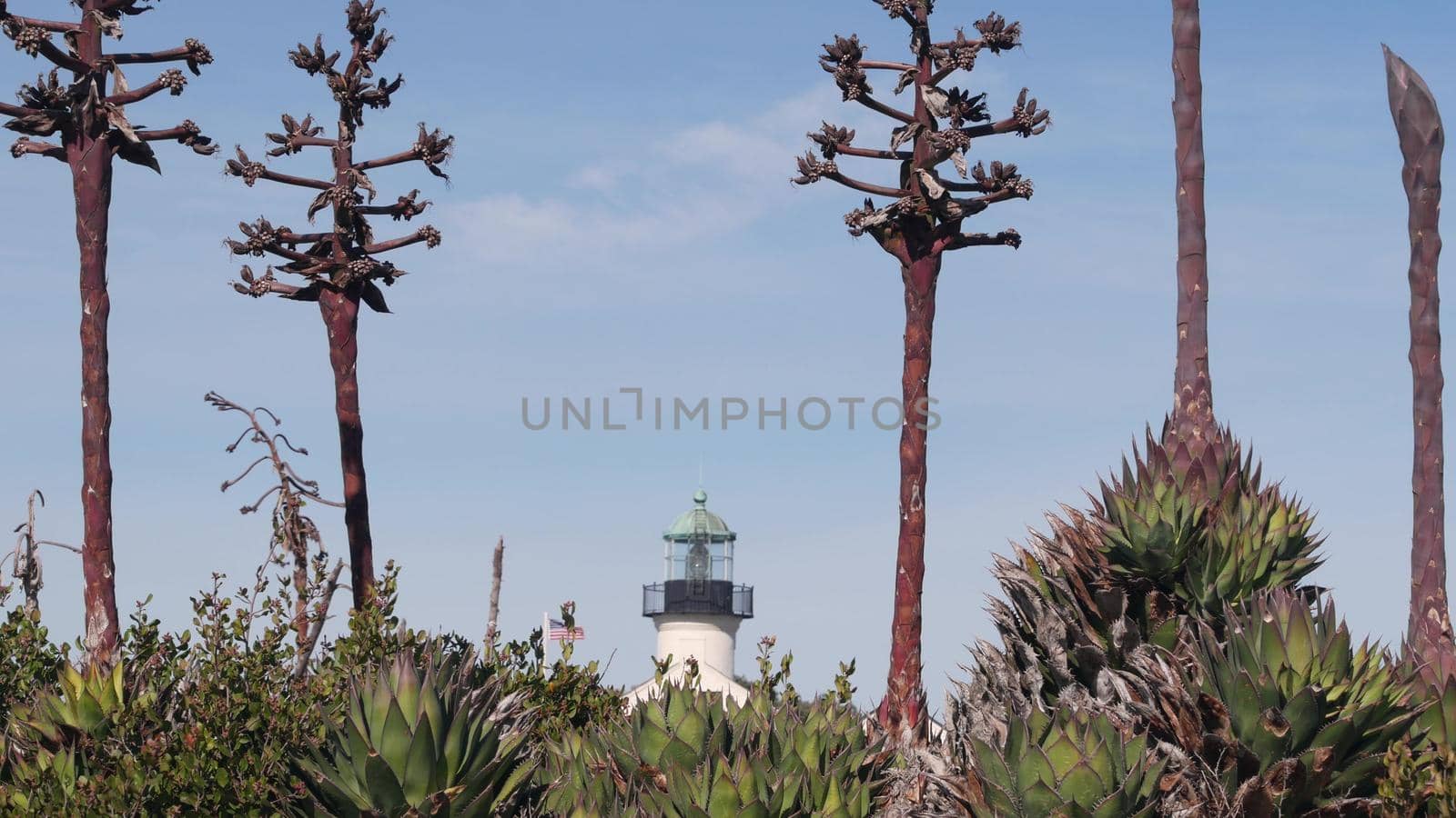 Vintage lighthouse tower, retro light house, old fashioned historic classic white beacon. Nautical navigation, coastal building 1855. Agave succulent plant flower. Point Loma San Diego, California USA