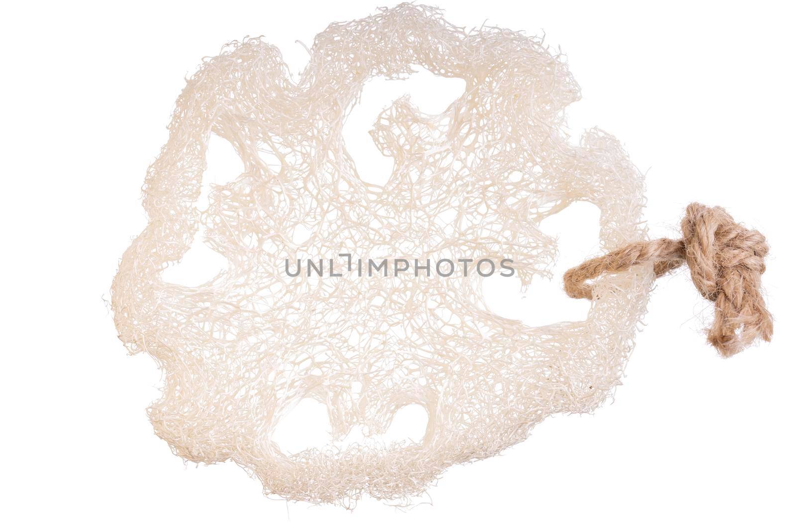 Loofah sponge close up isolated on white. Luffa sponge, fiber scrubber, cleansing beauty product. Thai scrub for clean skin. Alternative to plastic, zero waste, eco friendly. Scrubbing bath brush