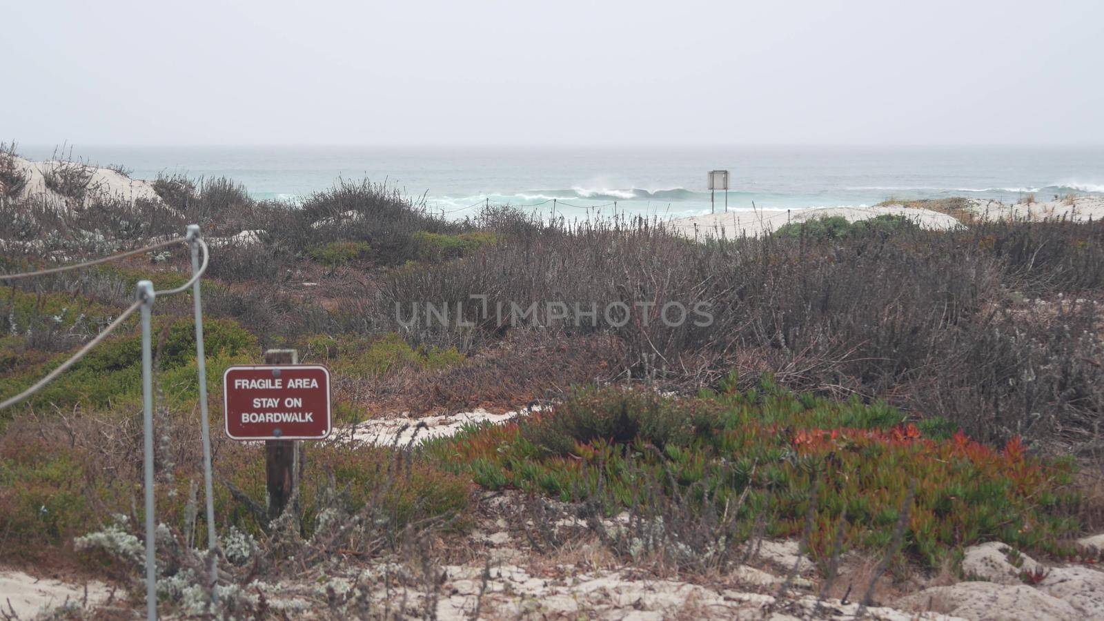 Ocean beach sandy dunes, California misty coast. Foggy rainy weather, cold sea. by DogoraSun