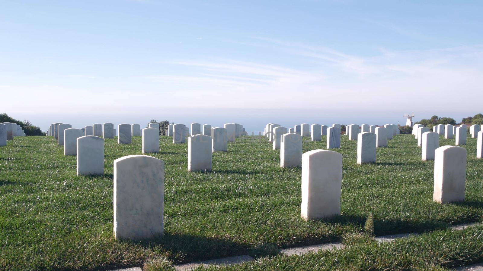 Tombstones on american military national memorial cemetery, graveyard in USA. Headstones or gravestones and green lawn grass. Respect and honor for armed forces soldiers. Veterans and Remembrance Day.