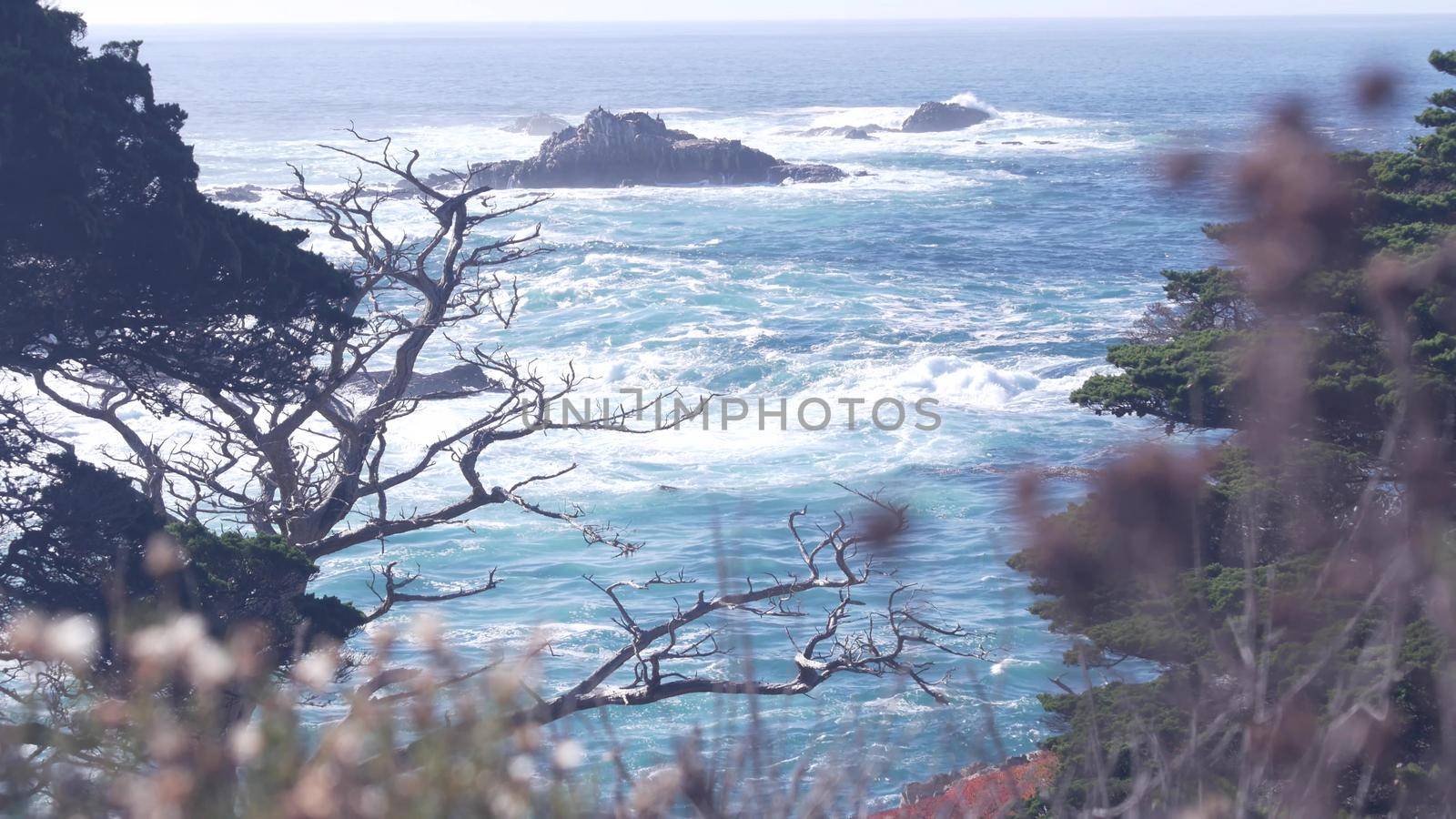 Rock or cliff island, ocean waves crashing, water splashing, sea foam. Big Sur, 17-mile drive, Point Lobos seascape, Monterey, California coast, USA. Coniferous pine cypress forest, bare leafless tree