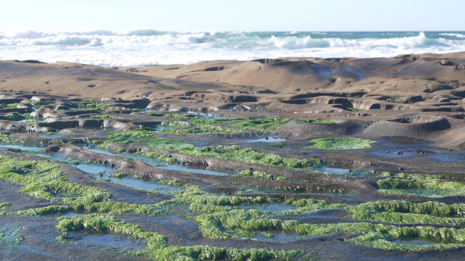 Eroded tide pool rock formation in California. Littoral intertidal tidepool zone by DogoraSun