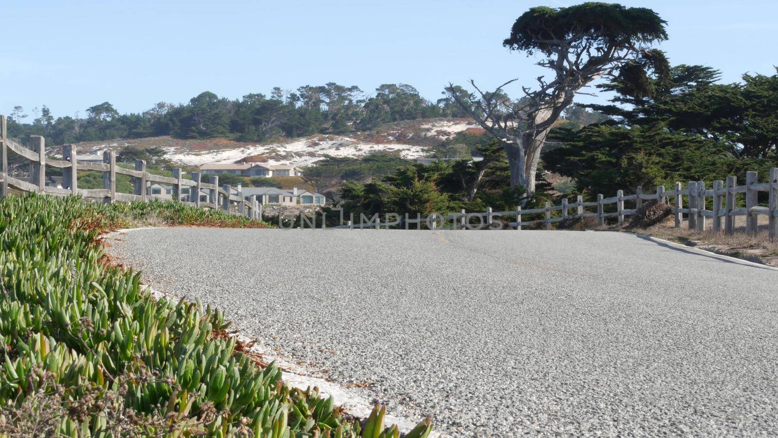 17-mile drive scenic road, Monterey, California, ocean waves. Succulent plants. by DogoraSun