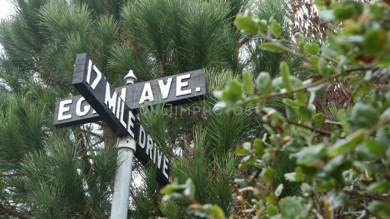 Scenic 17-mile drive wooden road sign, California. Coastal tourist road trip. by DogoraSun