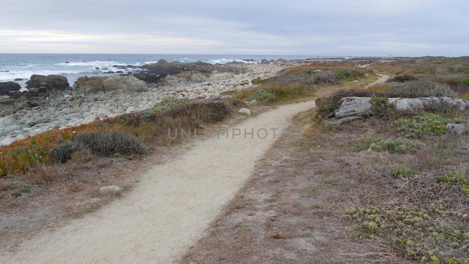 Rocky craggy ocean coast, Monterey California. Footpath walkway or footway trail by DogoraSun