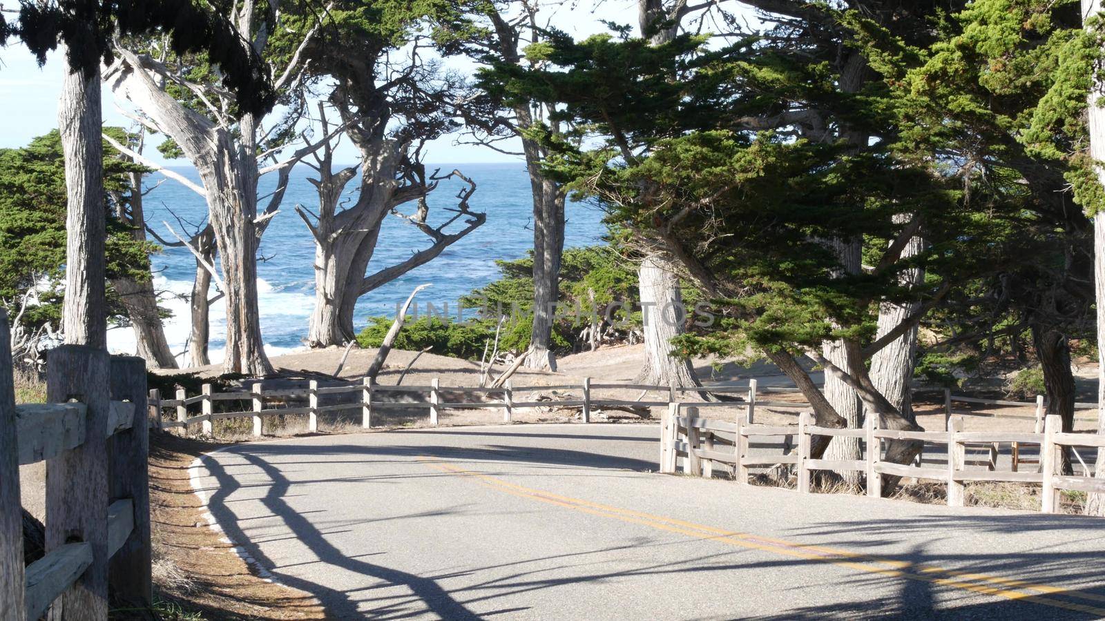 17-mile drive scenic road, Monterey, California. Cypress or pine trees and ocean by DogoraSun