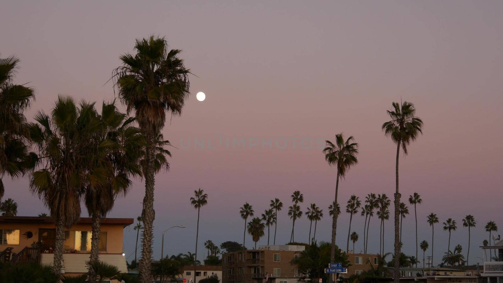 Palm trees silhouettes and full moon in twilight sky, California beach houses. by DogoraSun