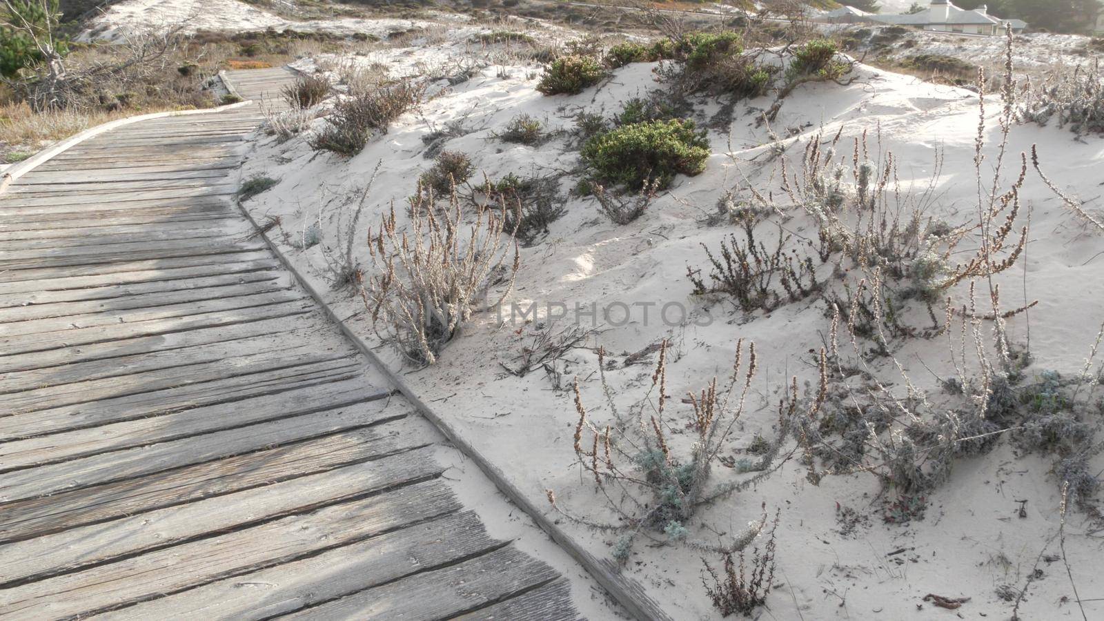 Wooden boardwalk trail, sand dune, California coast. Footpath walkway or footway by DogoraSun
